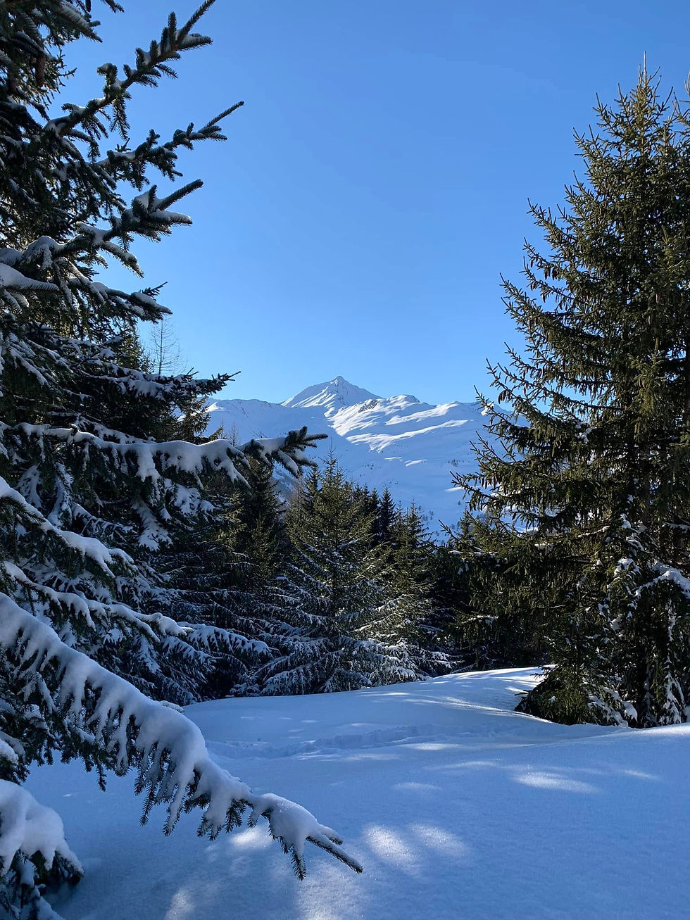 oh que c'est beau 5.jpg