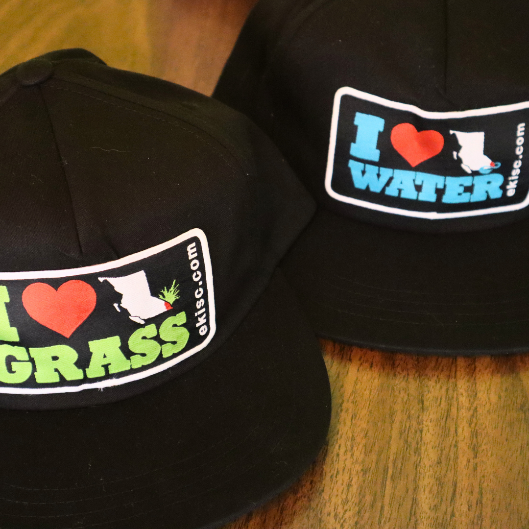I ‪‪❤︎‬ BC Water + Grass  |  5 Panel