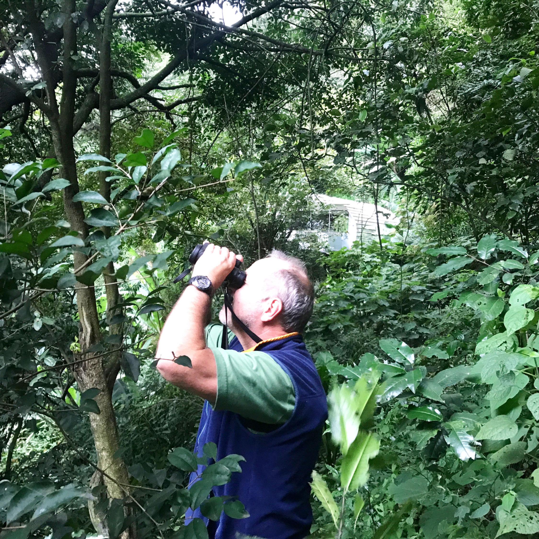 Sunset Birding & Naure Adventure Tour