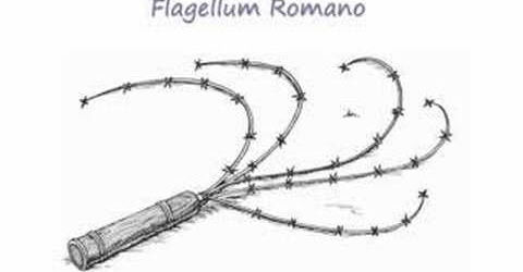 flagellum.jpg