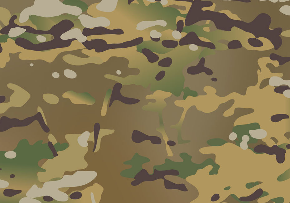 Multicam