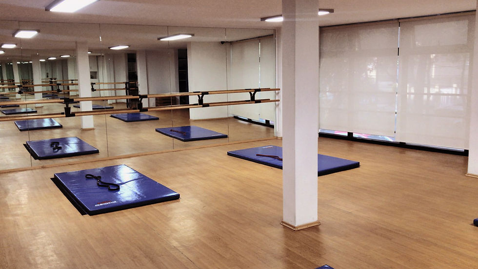 Salón colchonetas y espejos.jpg