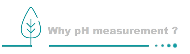 why ph measurement