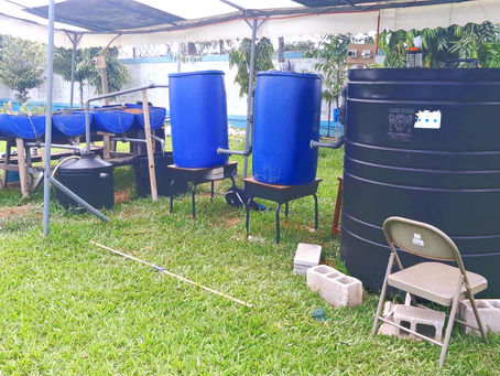 Aquaponics- An educational approach in Deep Learning in Education.