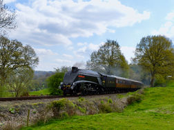 DSC_1053.jpeg