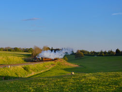 DSC_1099.jpeg