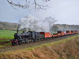 dsc-2012_orig.jpg