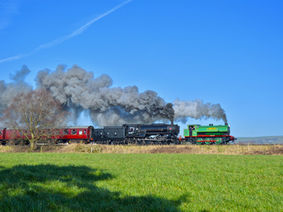 dsc-1564-1_orig.jpg