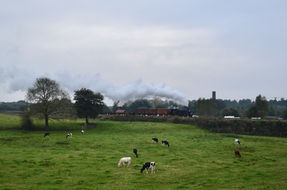 DSC_0482.jpeg