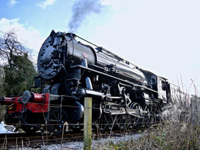 cvr-0511_orig.jpg
