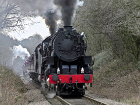 cvr3350012_orig-2.jpg