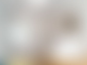 啟悅苑平面圖，面積464呎，兩房間隔，日式原木風。