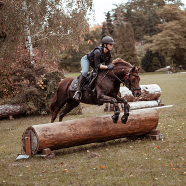 Eine Frau springt mit einem Pferd über einen Baumstamm