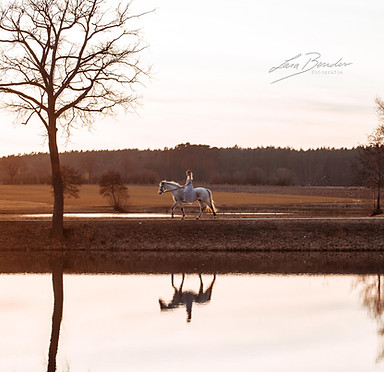 Reiterin auf Pferd beim Sonnenuntergang vor einem See