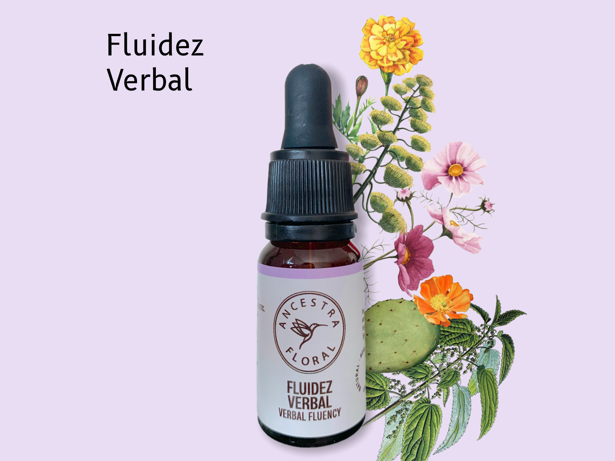Fluidez Verbal