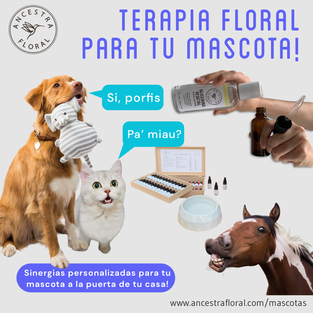 Sinergia para Mascotas