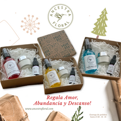 Paquete Navidad