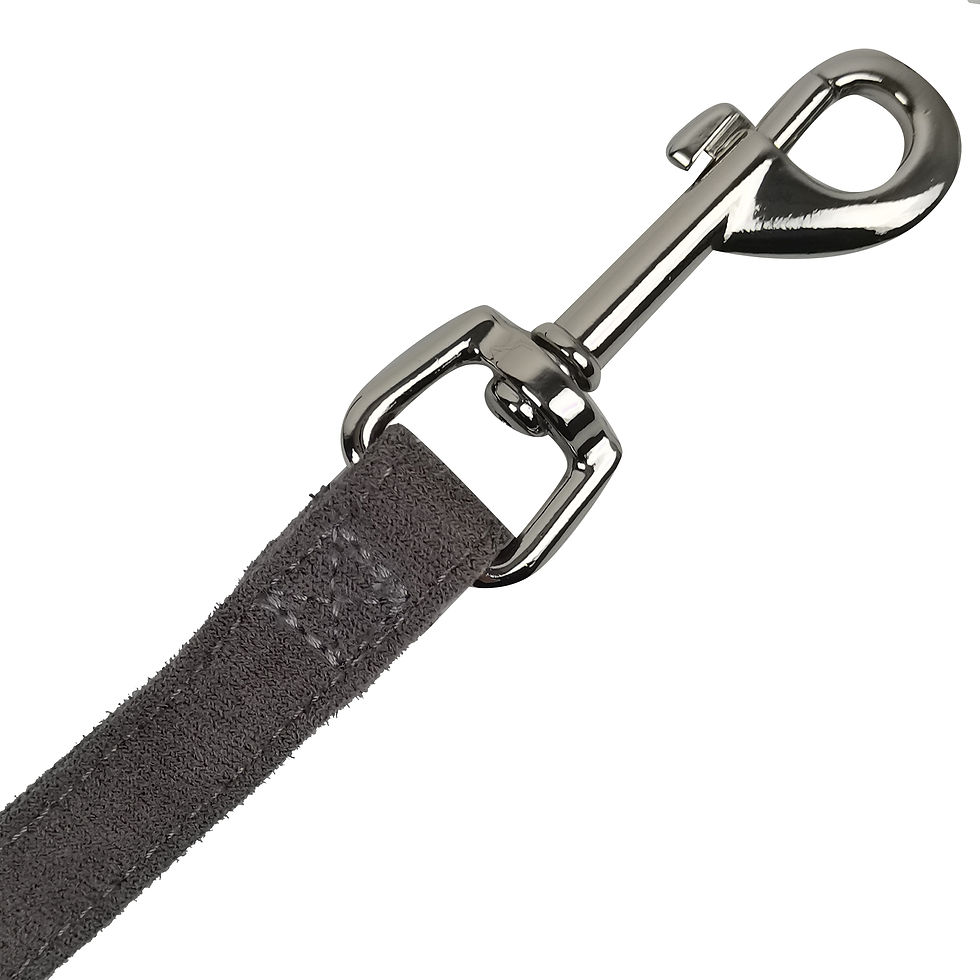 Thumbnail: Dog Leash | Grey