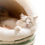 Thumbnail: Cat Bed