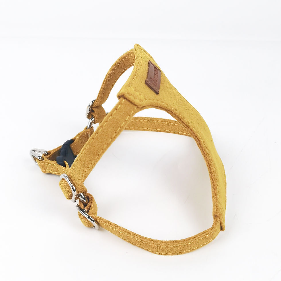 Thumbnail: Puppy/Cat Harness | Yellow