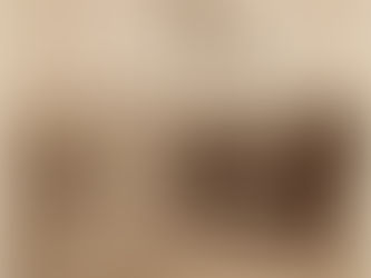 القنصليات الأجنبية في فلسطين: رأس الحربة للاستيطان الصهيوني المبكر (قراءة في كتاب نائلة الوعري)"