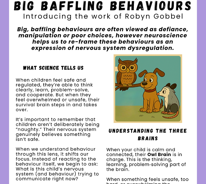 EMOT B&B Owl, Watchdog & Possum Behaviours.png