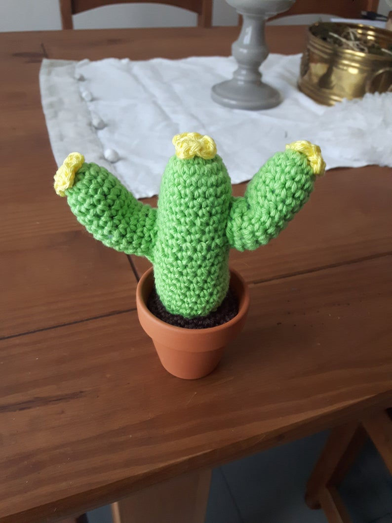 Miniature : cactus avec fleurs au crochet