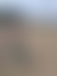 Environment.care - Gudiyatham