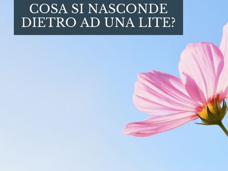 Cosa si nasconde dietro ad una lite?