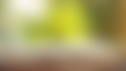 Scripture Collection 2: Surrender