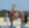 b_A_900209_edited.jpg