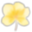 Flower2.png