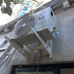 WhatsApp Image 2021-01-24 at 2.49.23 PM.