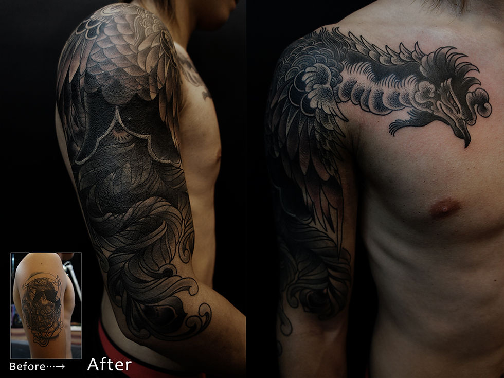 Cover up Phoenix