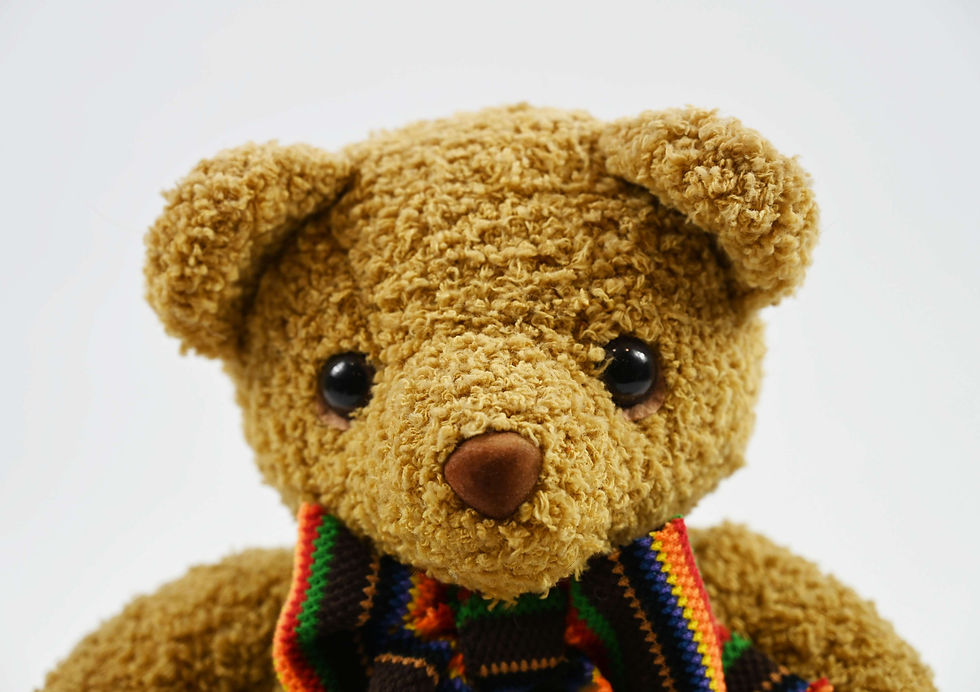 Thumbnail: Mister Bear
