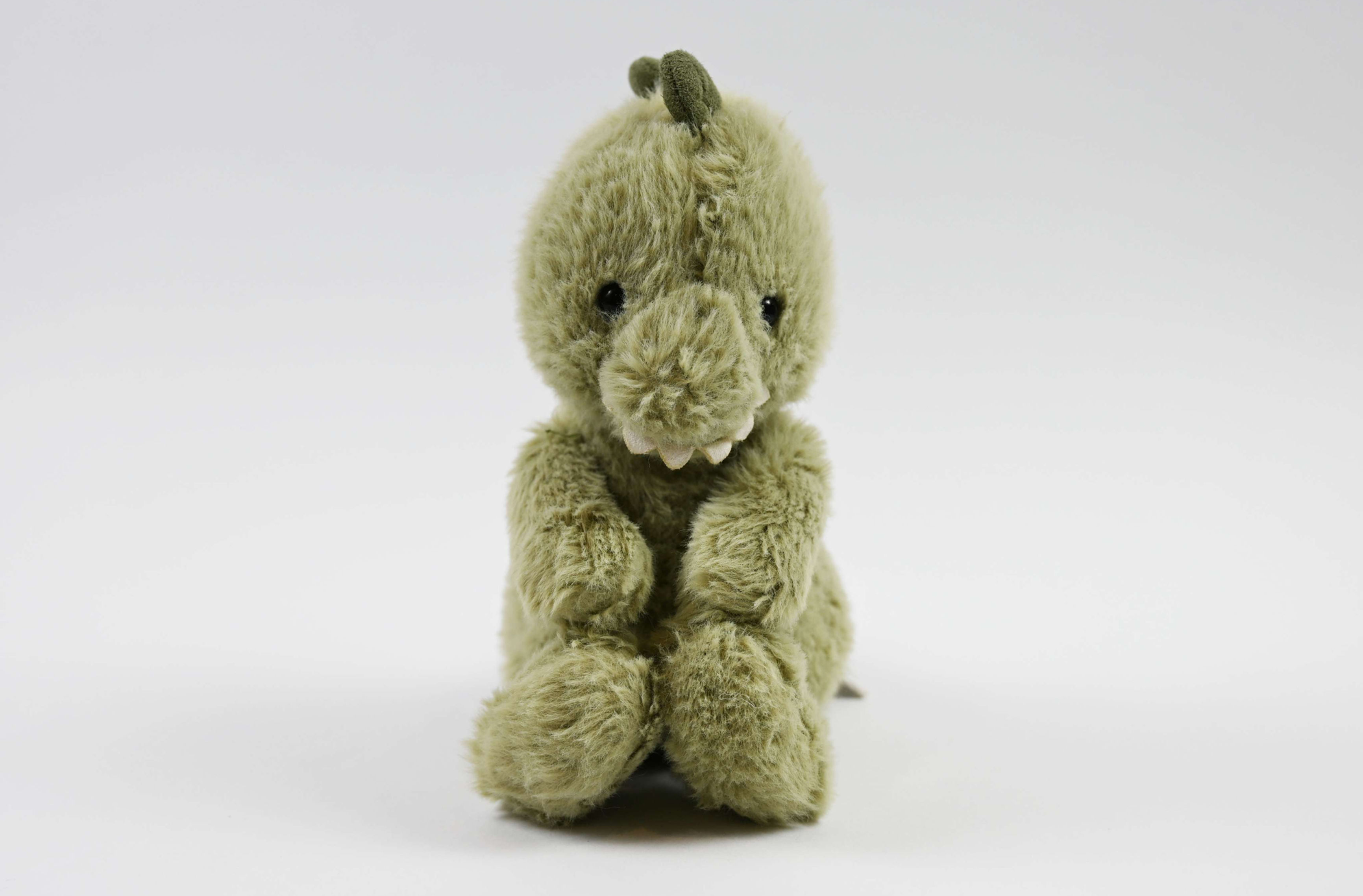 Fern