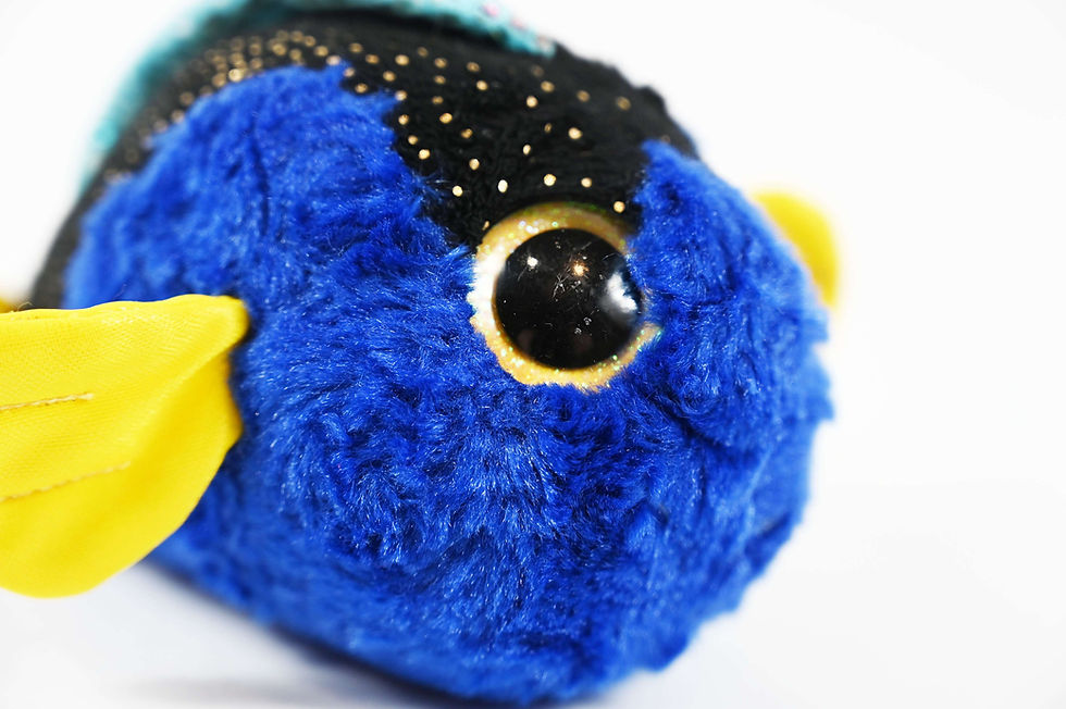 Thumbnail: Dory