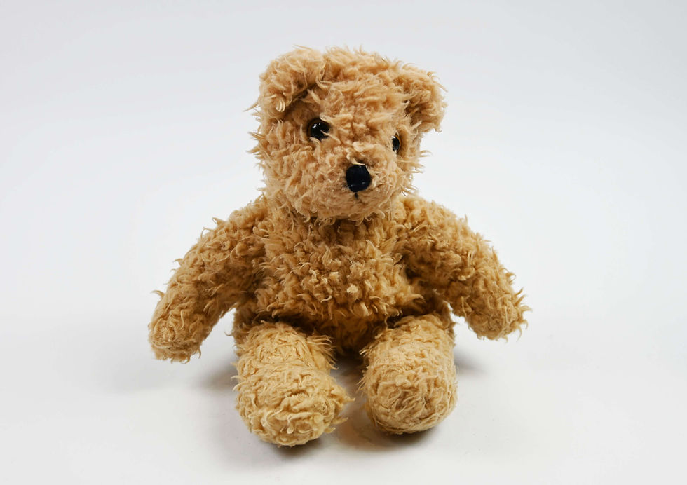 Thumbnail: Teddy