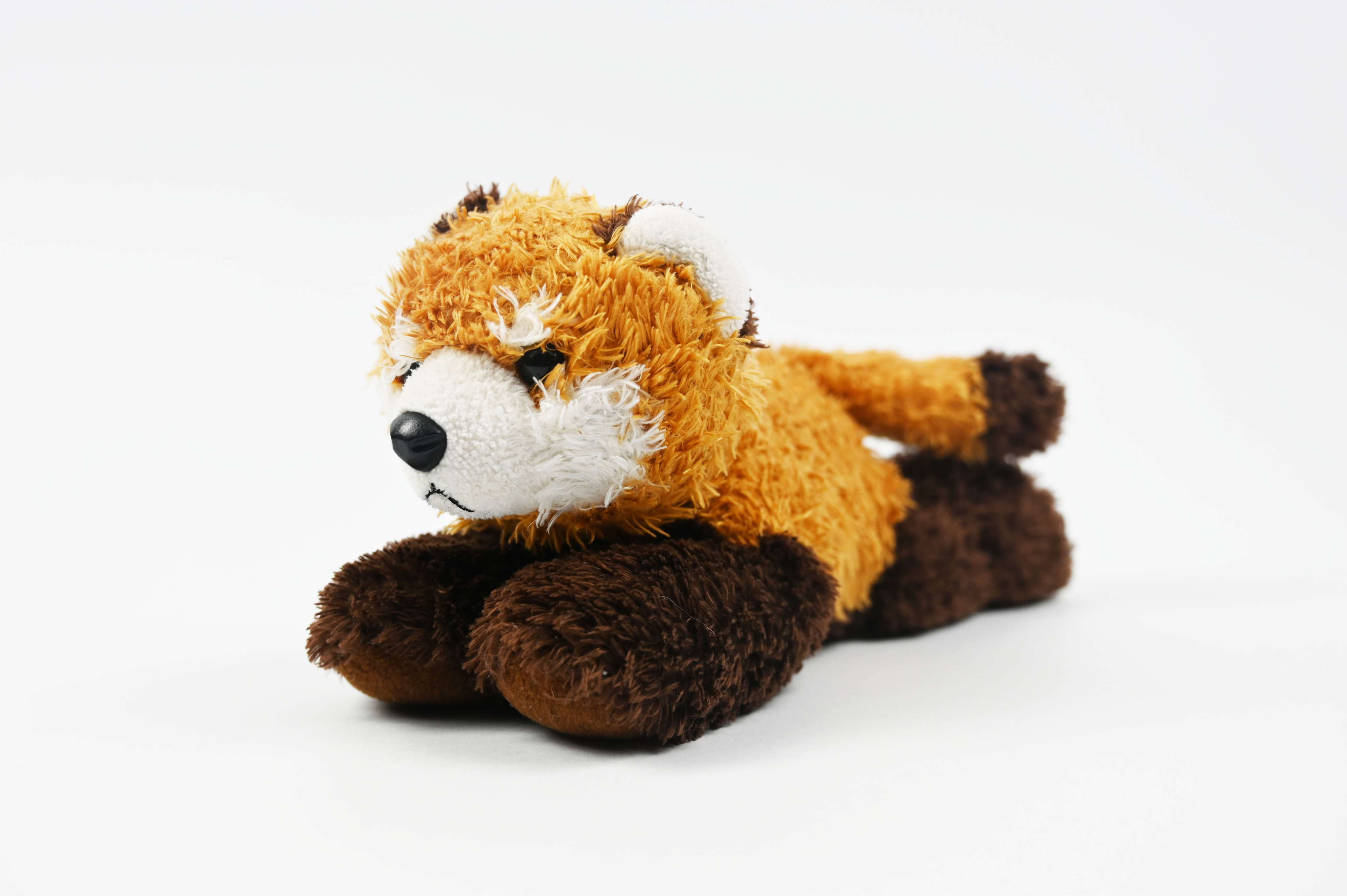 Foxwell