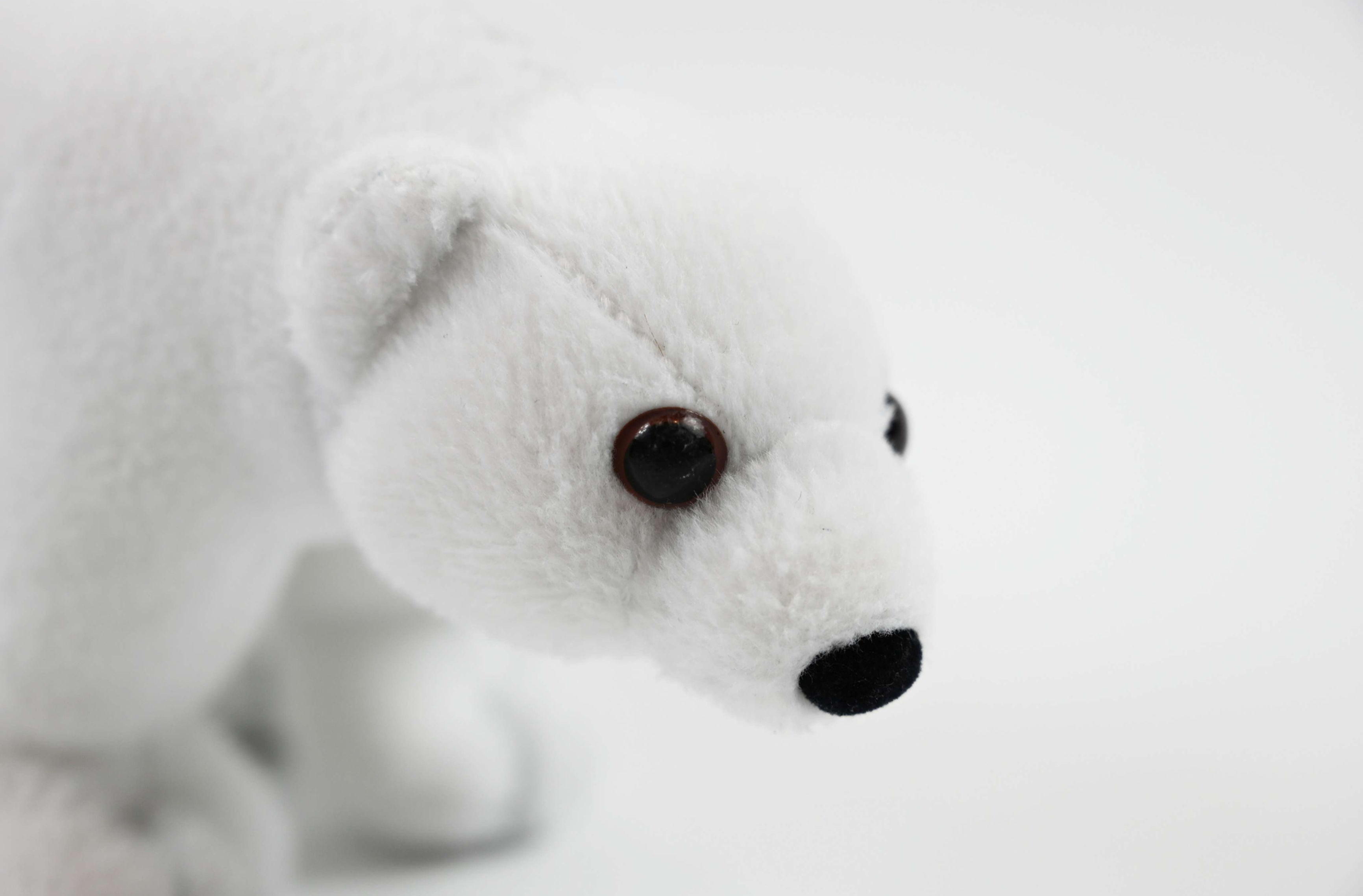 Nanook