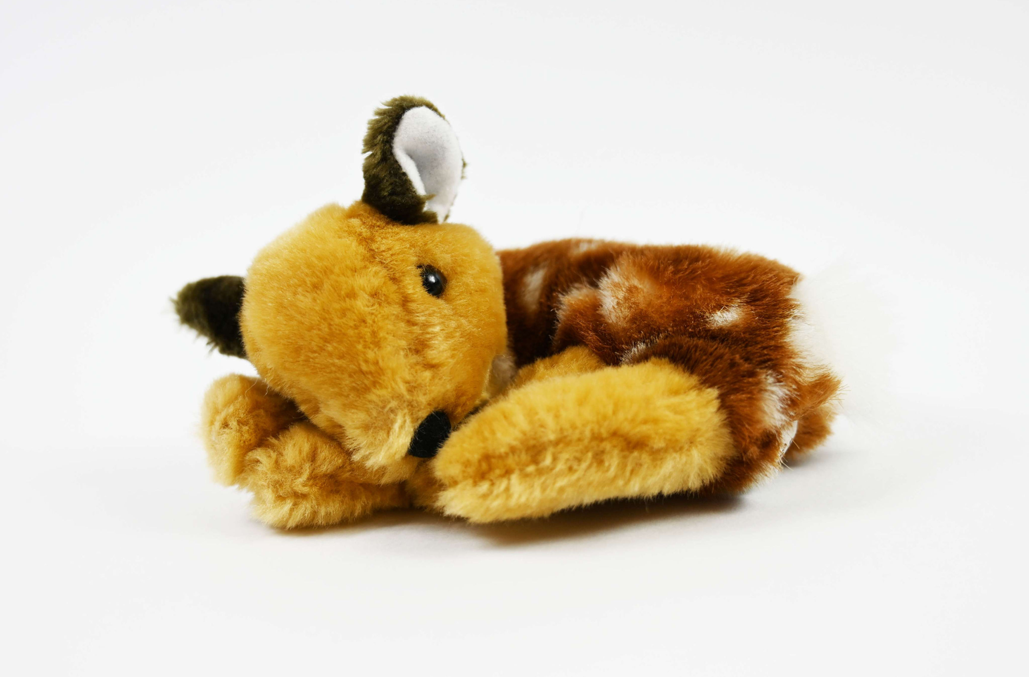 Fawn