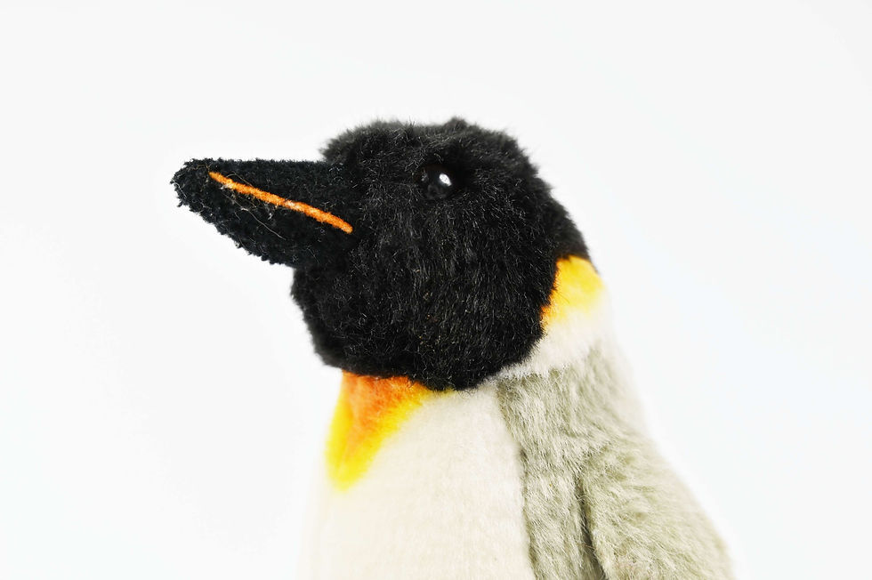 Thumbnail: Wilbur