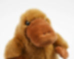 Thumbnail: Harriet