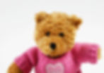 Thumbnail: juniper
