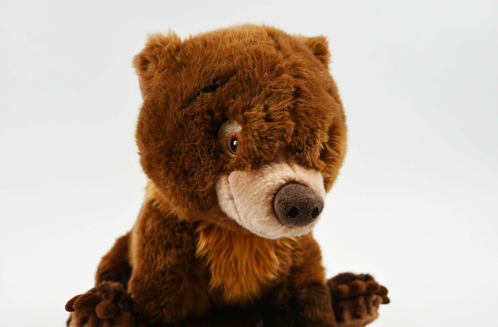 Thumbnail: Brother Bear