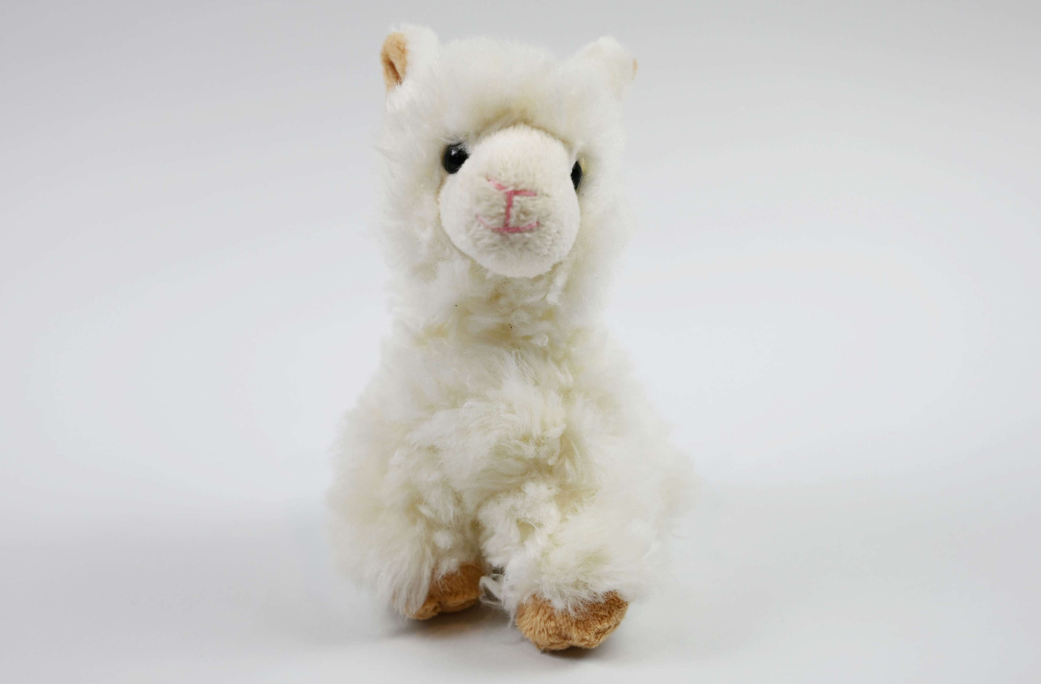 Percy
