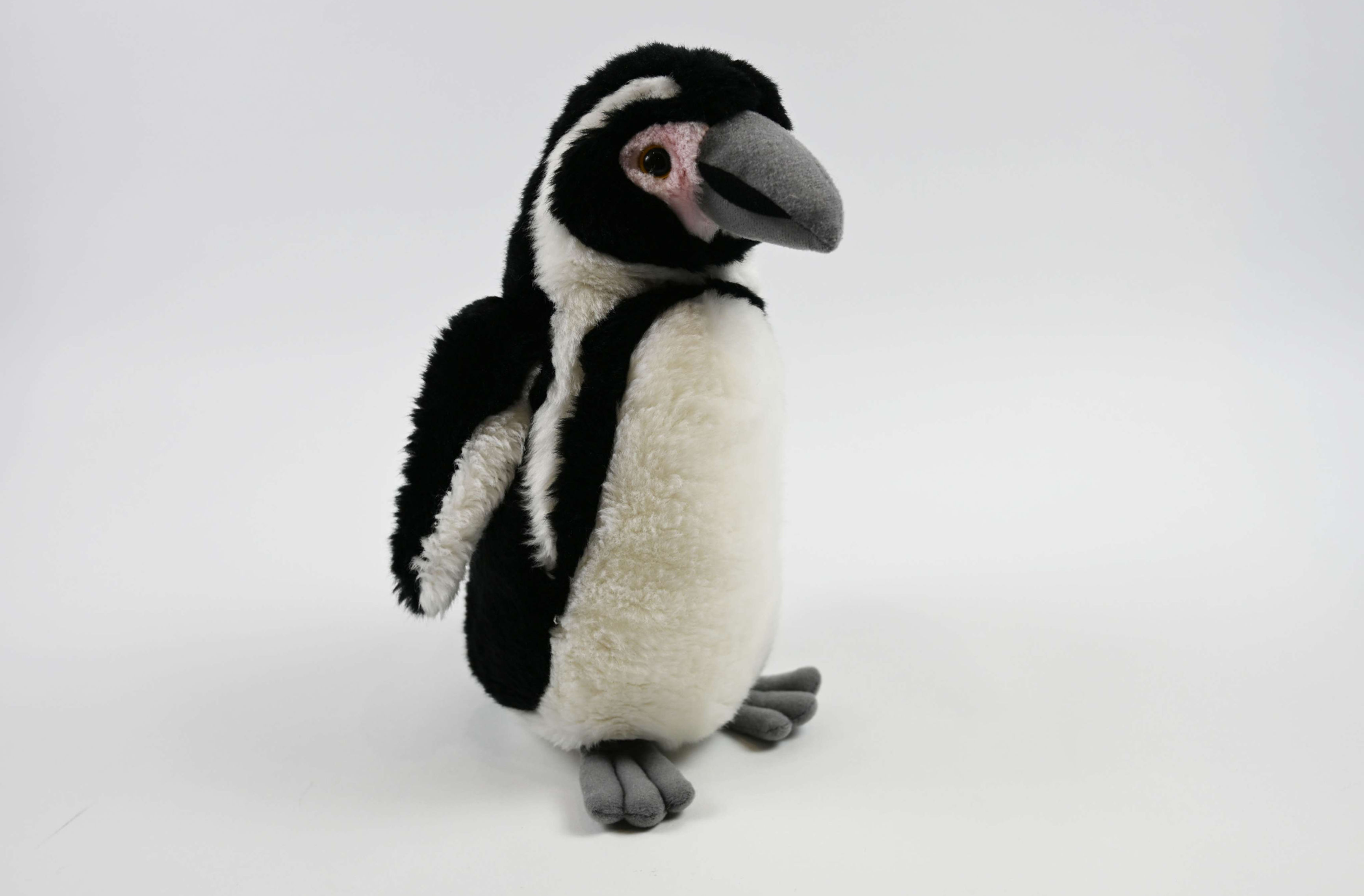 Percy