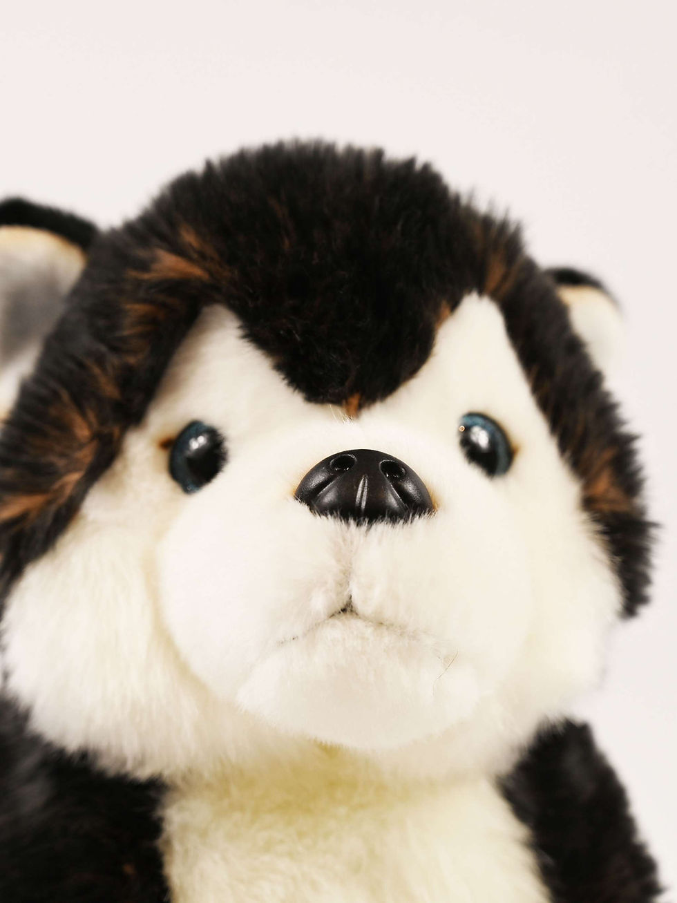 Thumbnail: Husky Joe