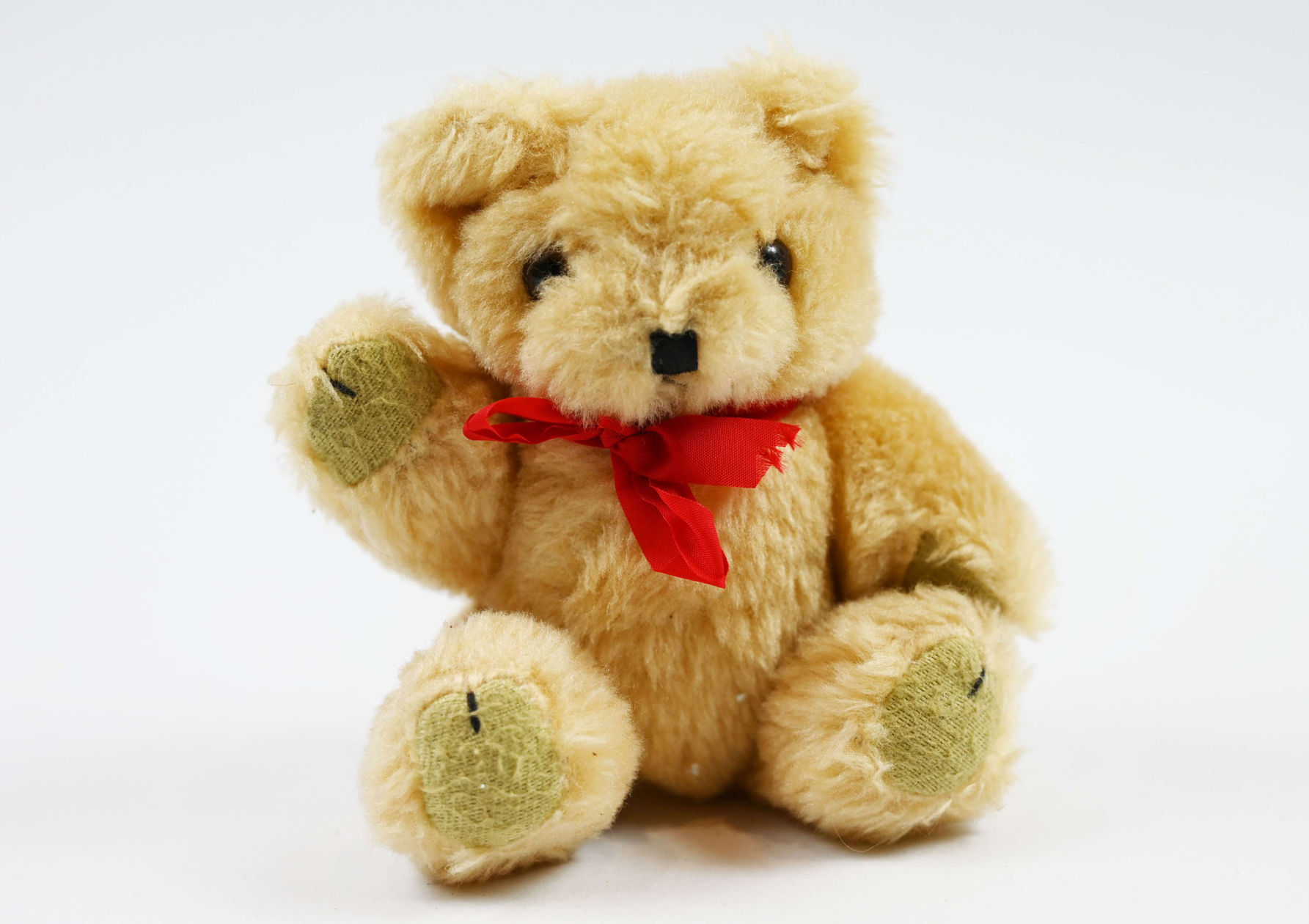 Teddy