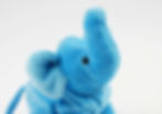 Thumbnail: Bluebell